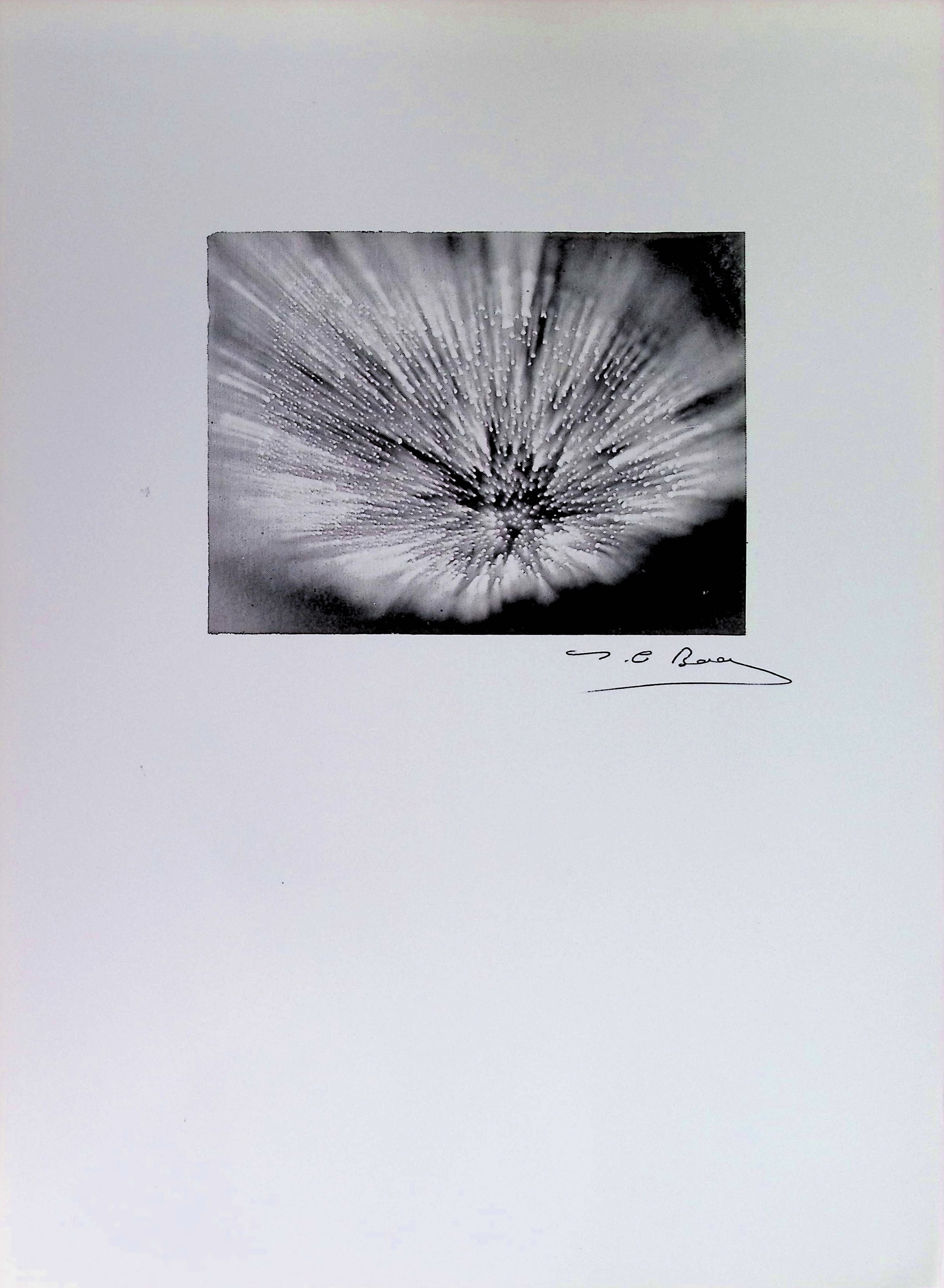 Klik voor vergroting