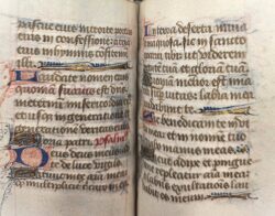 Klik voor vergroting