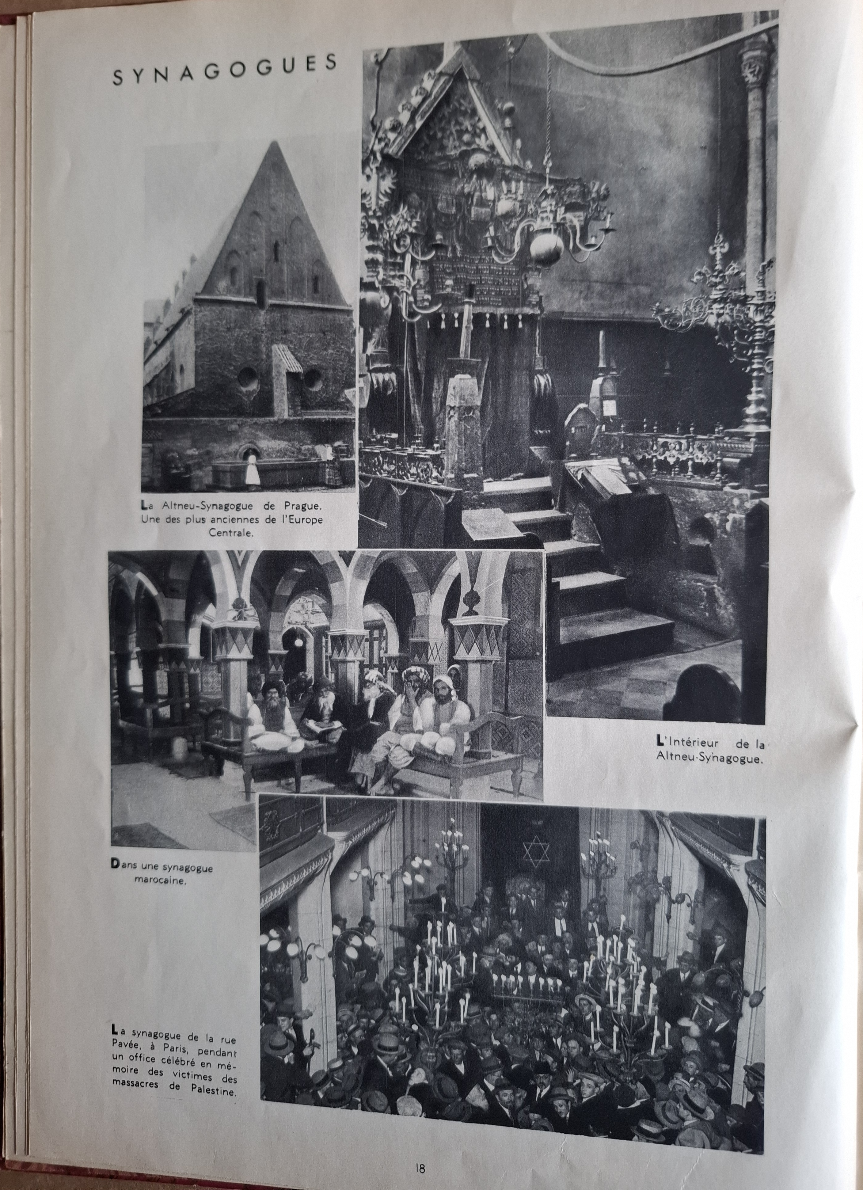 Click to enlarge