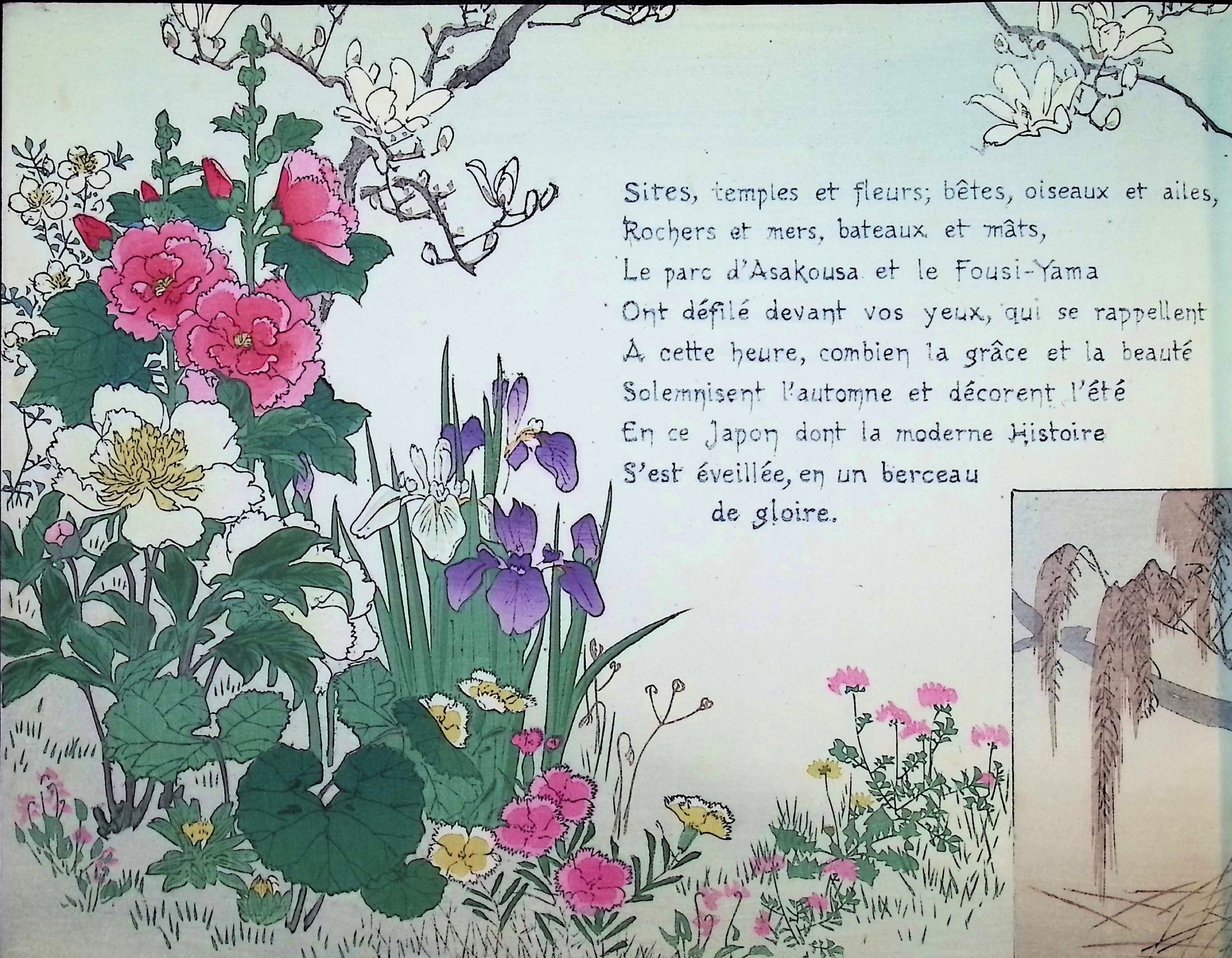 Klik voor vergroting