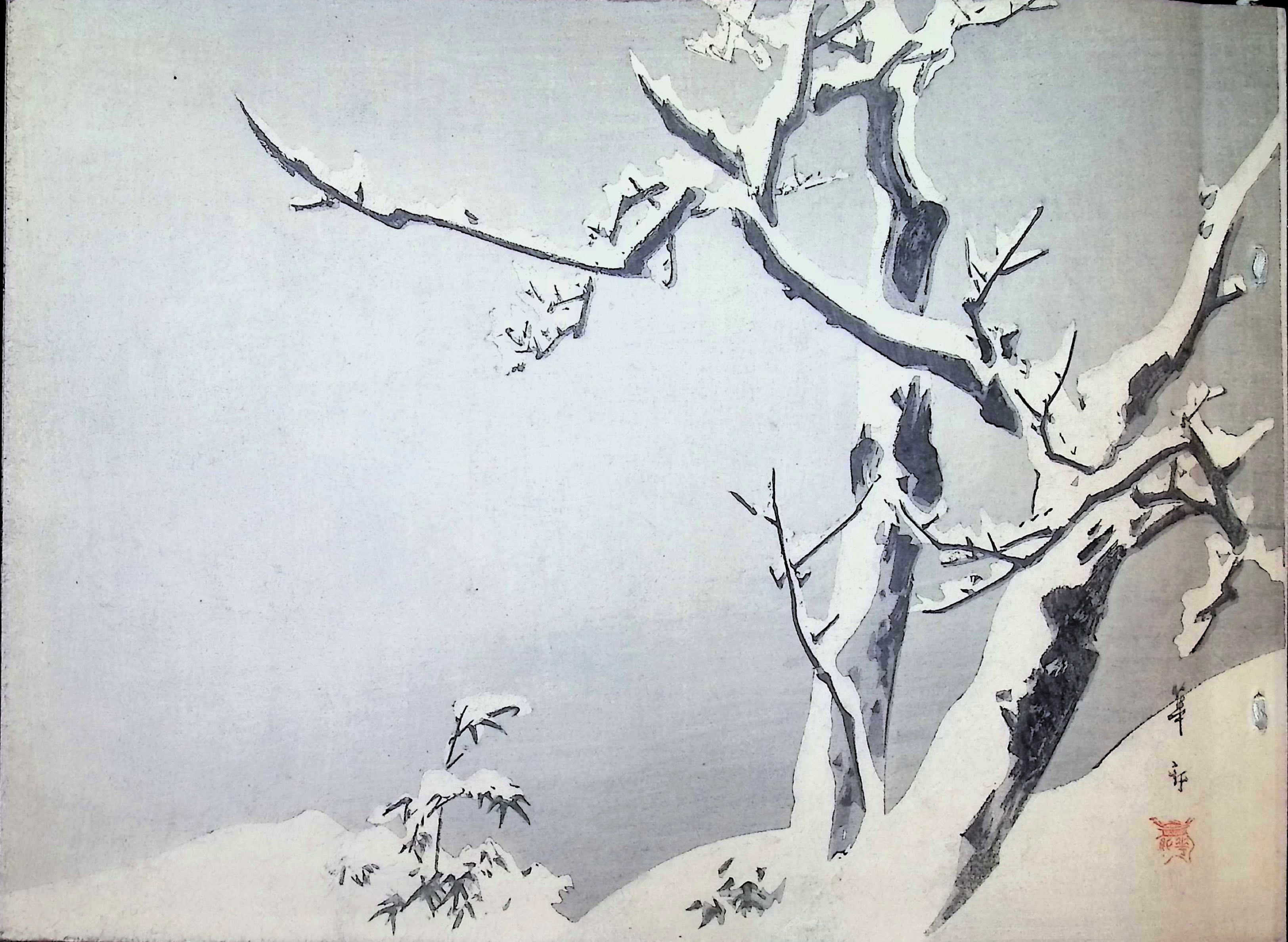 Klik voor vergroting