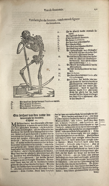 Klik voor vergroting