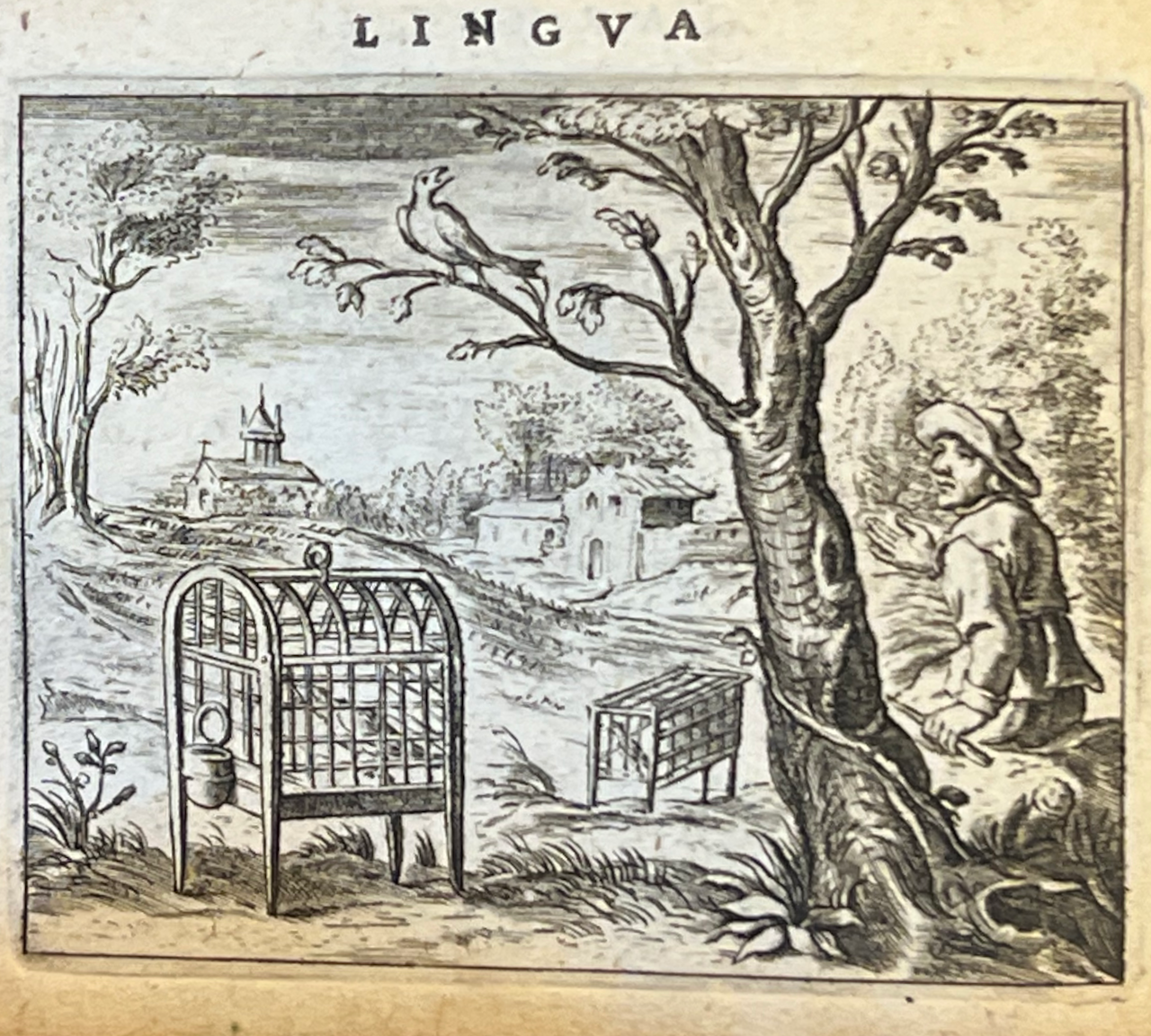 Klik voor vergroting