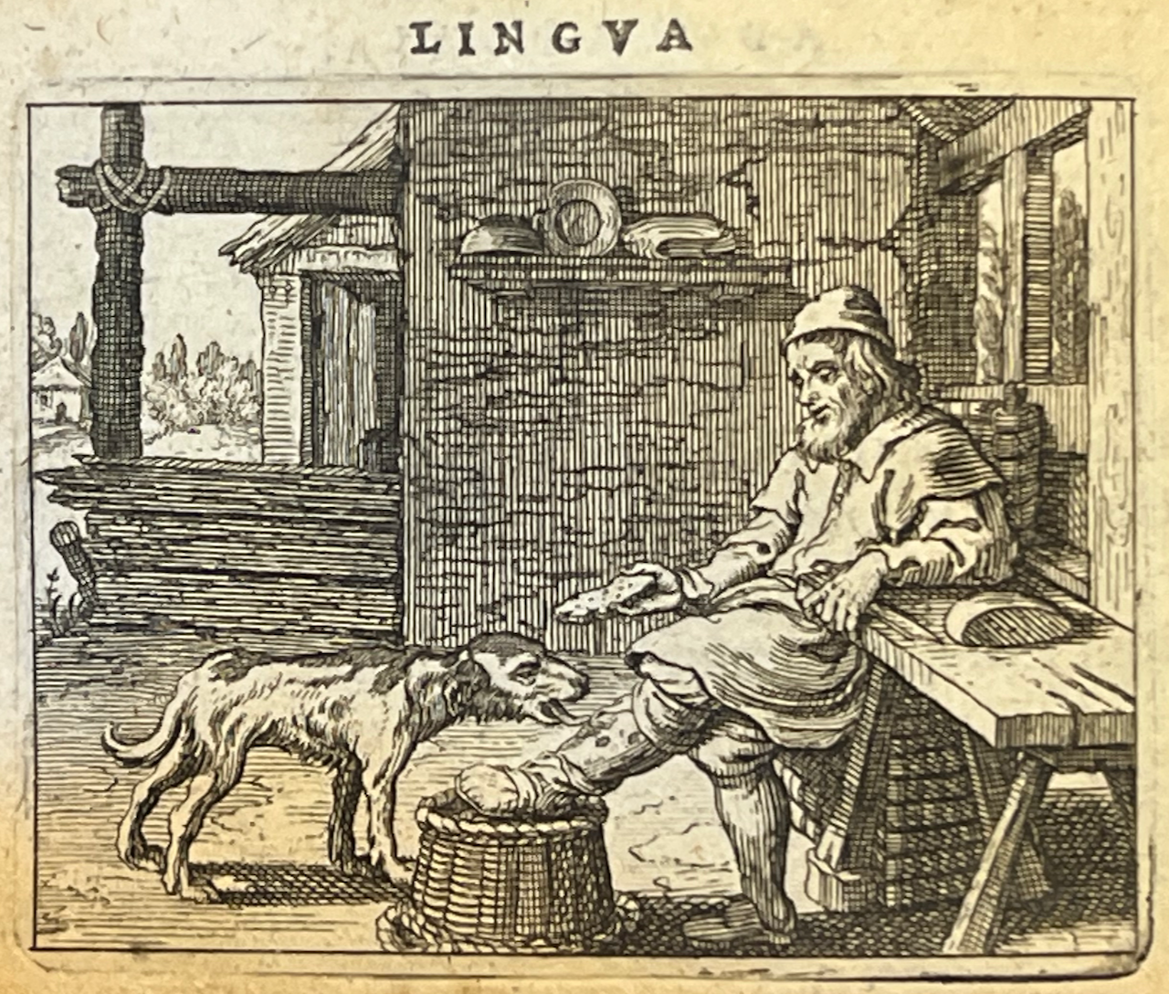 Klik voor vergroting