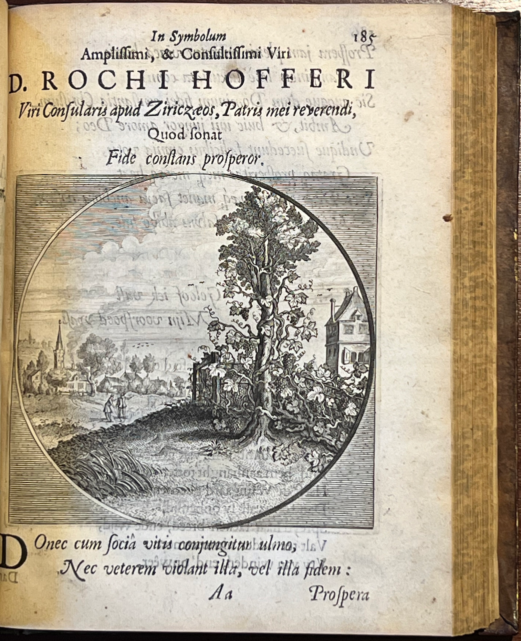 Klik voor vergroting