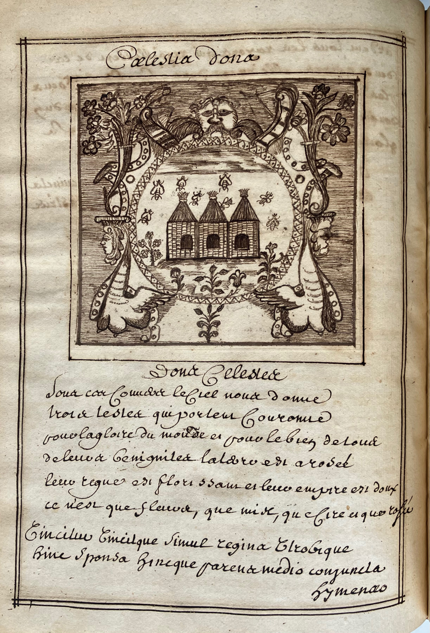 Klik voor vergroting