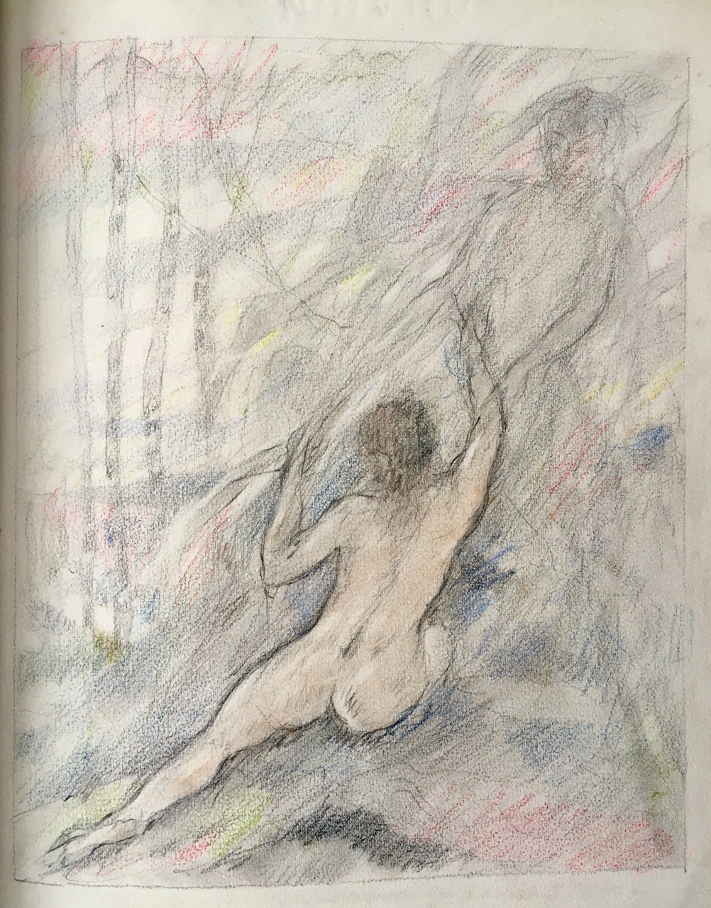 Klik voor vergroting