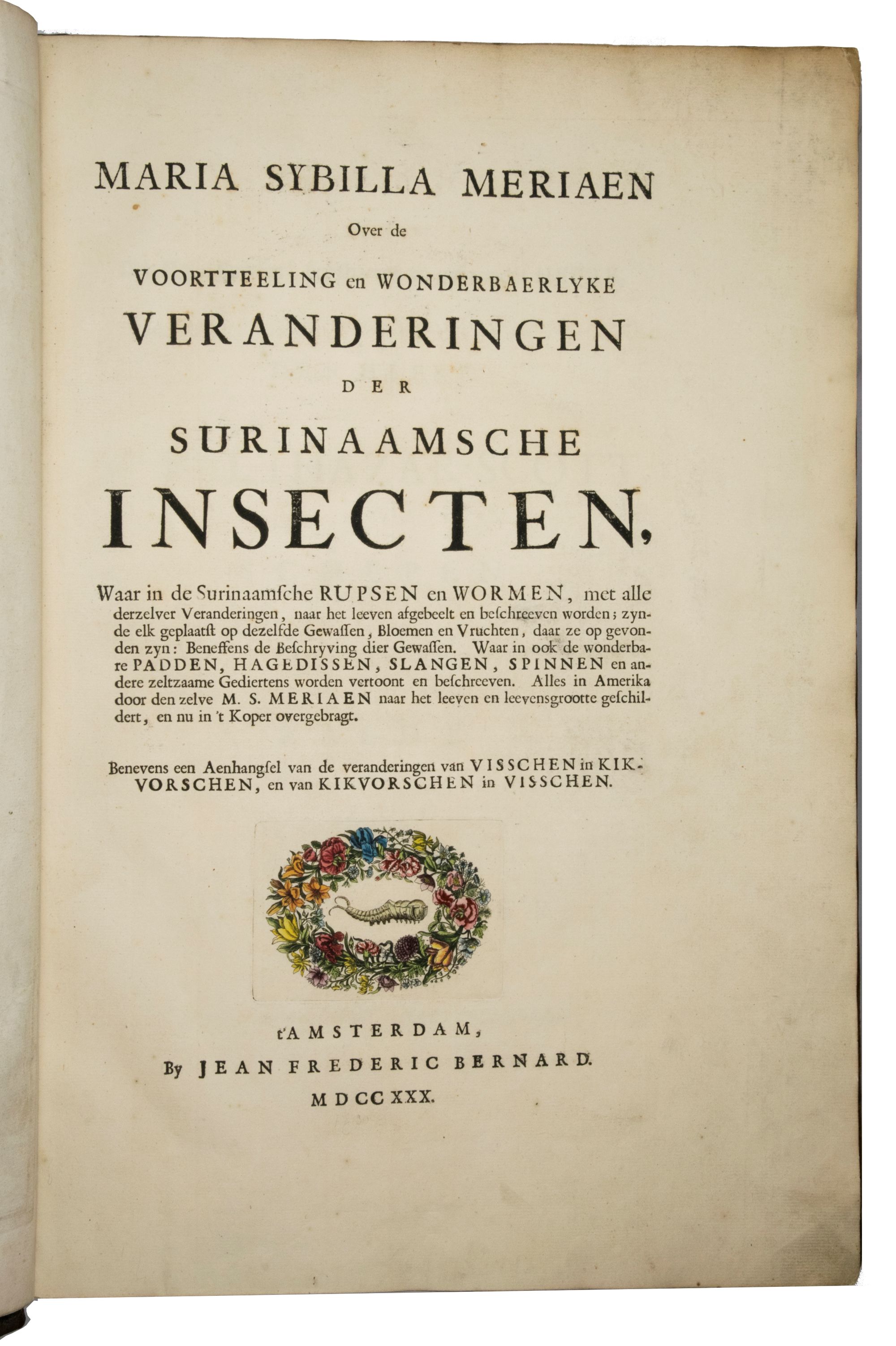 Klik voor vergroting