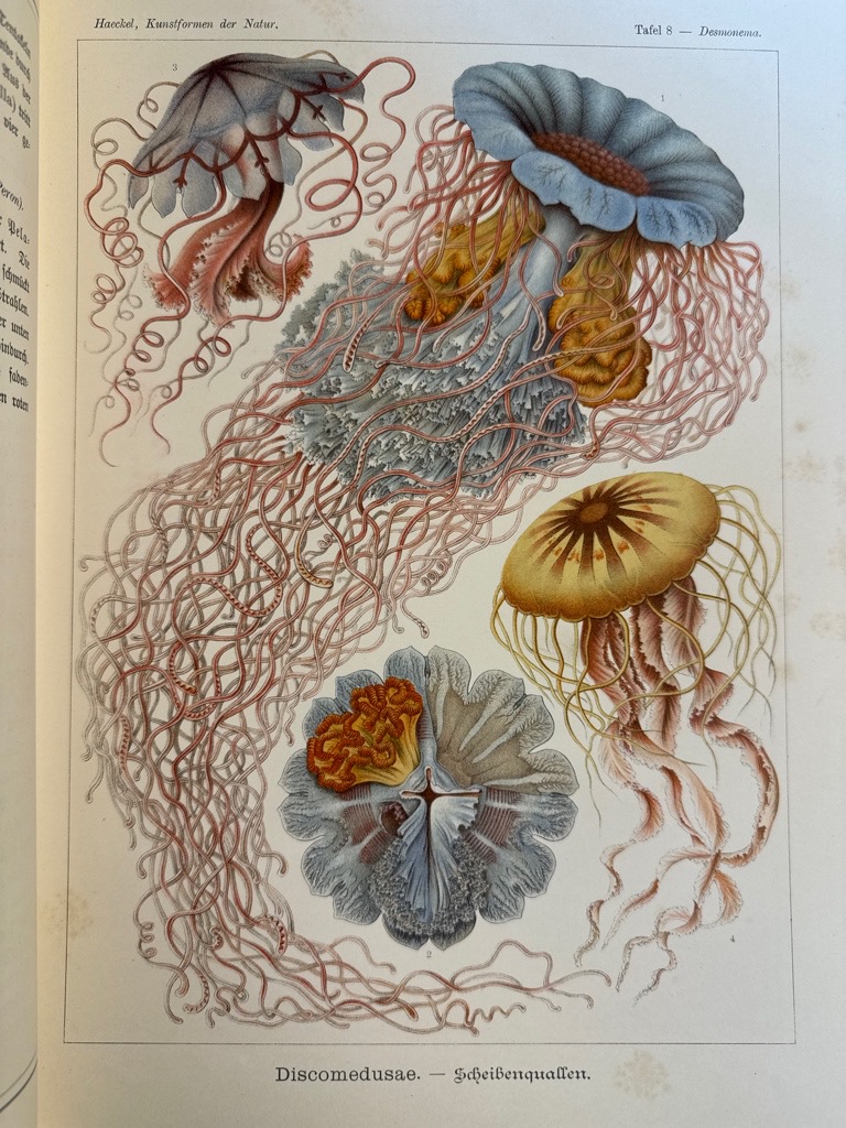 Klik voor vergroting